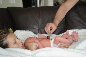 1 - Stomach size - Cherry