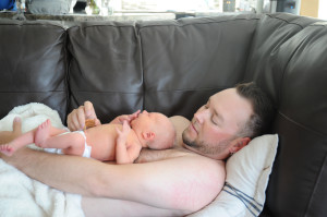 2 - Stomach size - Walnut