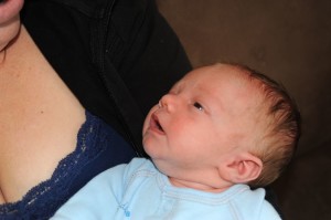 Feeding Cue 1 - opening eyes