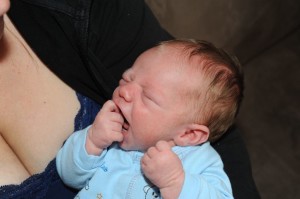 feeding cue 2 putting hand in mouth side view