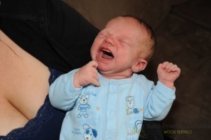 Feeding cue 3 all worked up